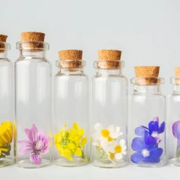 Florithérapie la voix des fleurs